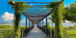 Captura de pantalla_4-11-2025_8858_imagenes.onvacation.com