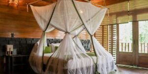 Captura de pantalla_4-11-2025_8912_imagenes.onvacation.com