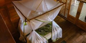 Captura de pantalla_4-11-2025_8936_imagenes.onvacation.com